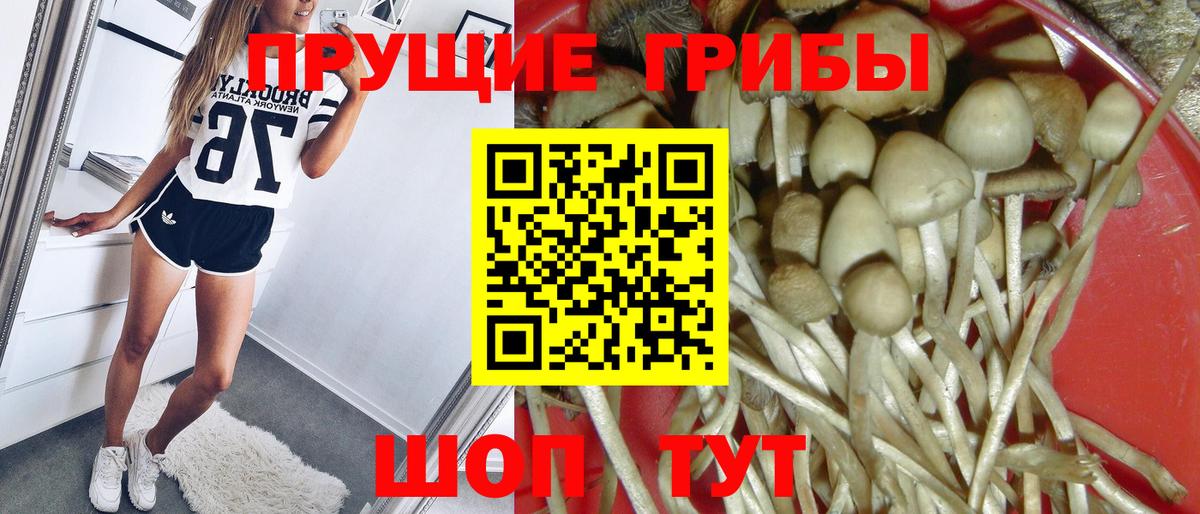 Псилоцибиновые грибы ЛСД Ефремов