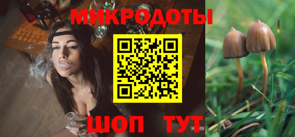 дарнет шоп  Псилоцибиновые грибы мухоморы  Вход с VPN  Ефремов 